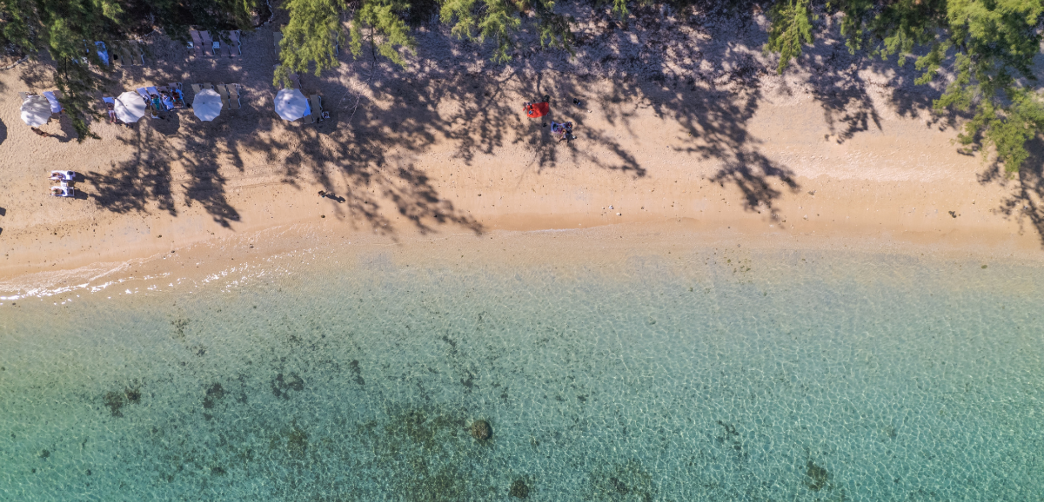 Lagon de l'Hermitage, Réunion