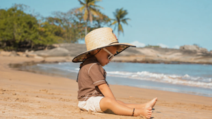 Vignette IStock