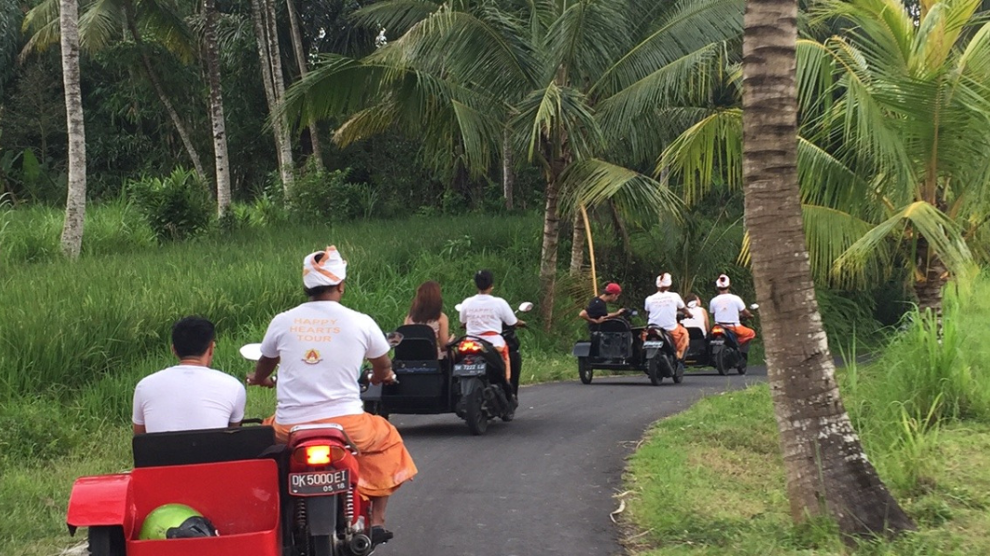 Virée en sidecar à Ubud