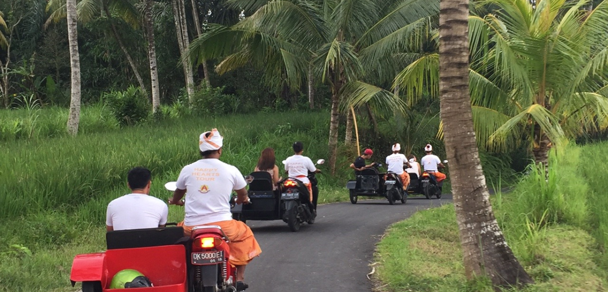Virée en sidecar à Ubud