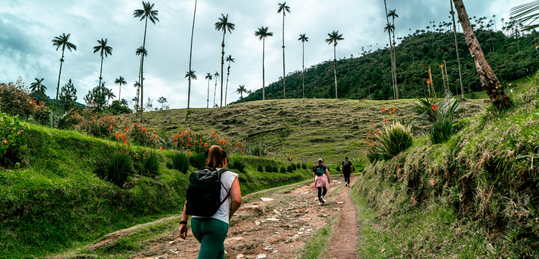 Une randonnée dans la vallée de Cocora au milieu des palmiers de cire - J2