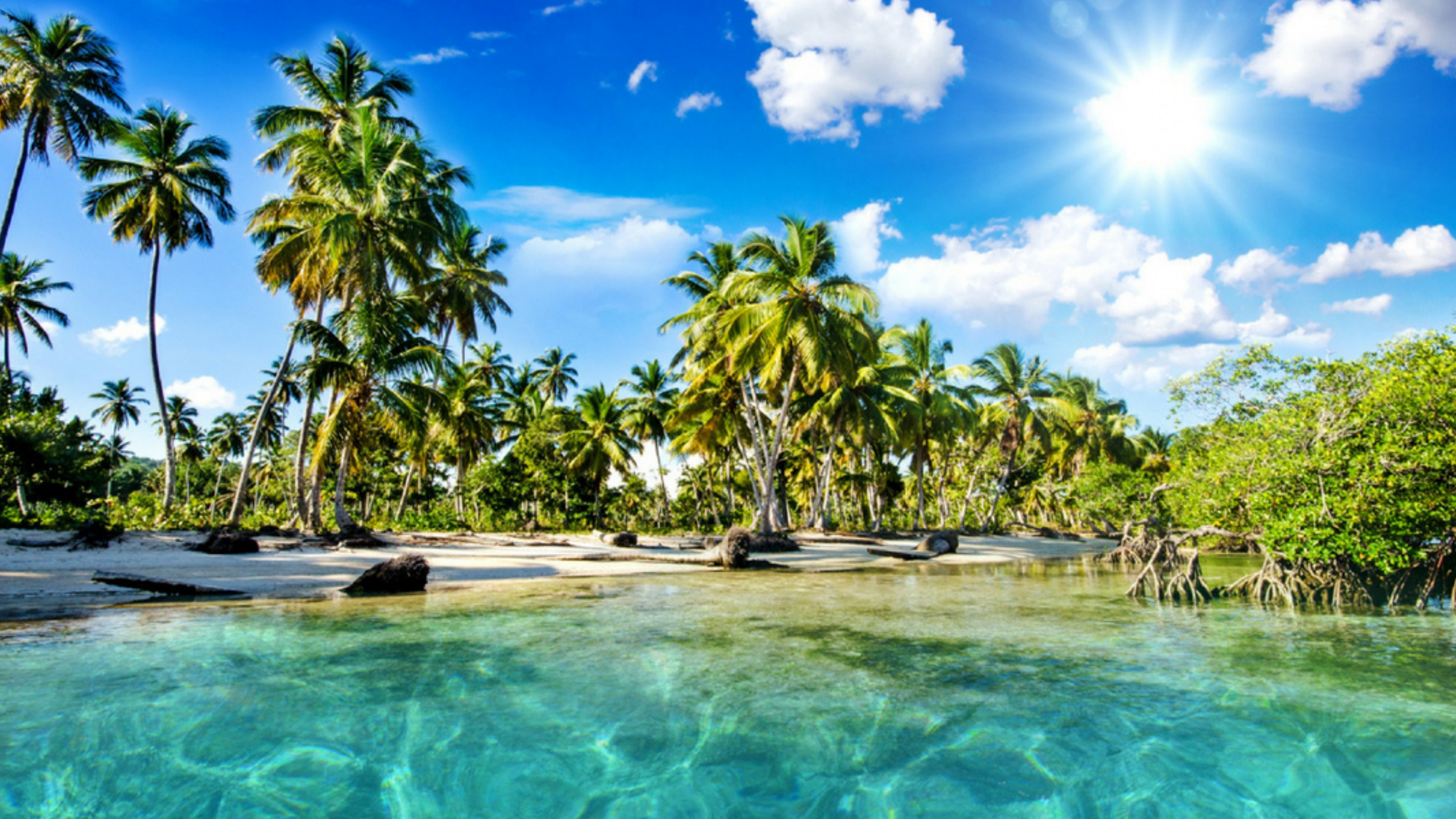 Plongez dans une eau cristalline...