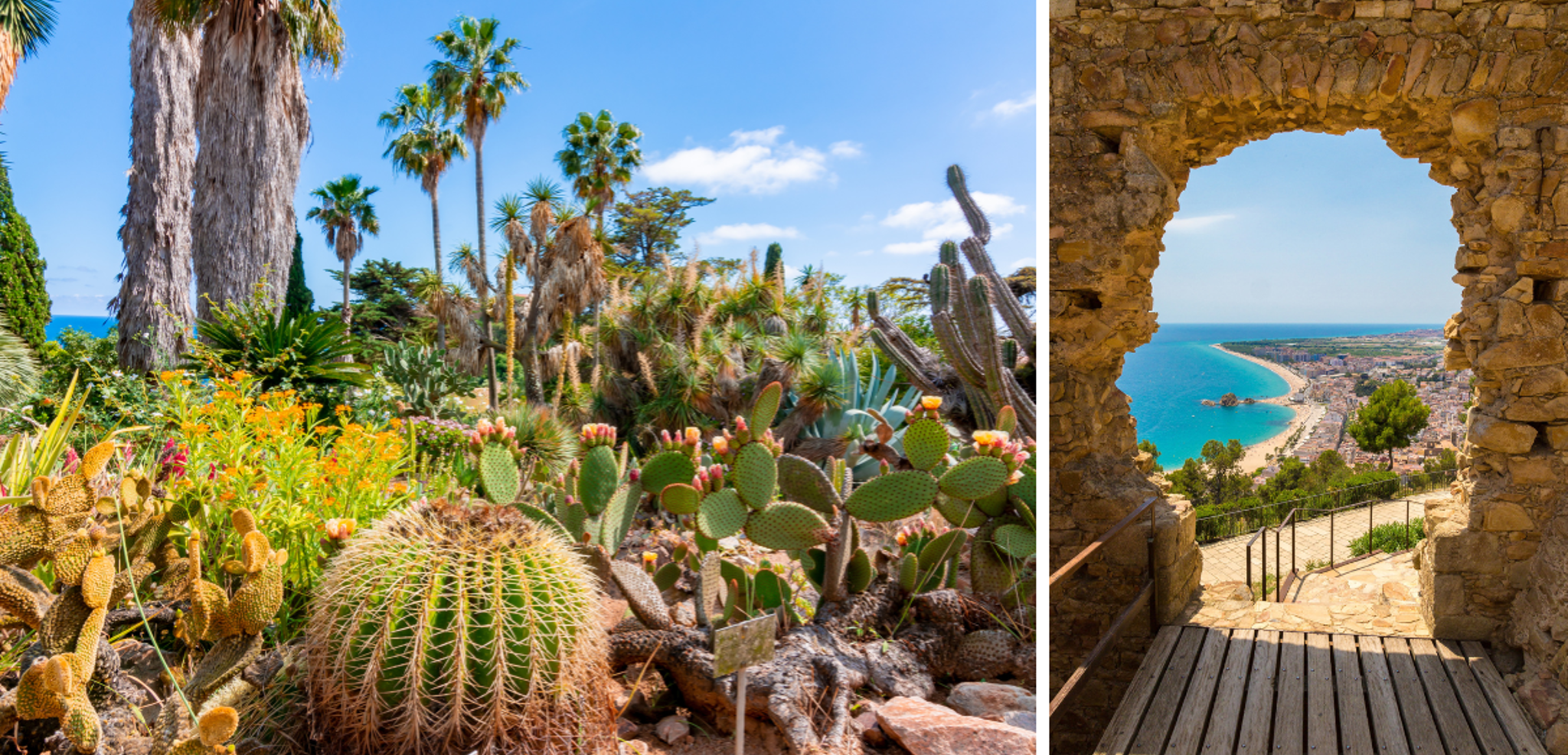 Blanes et son jardin botanique