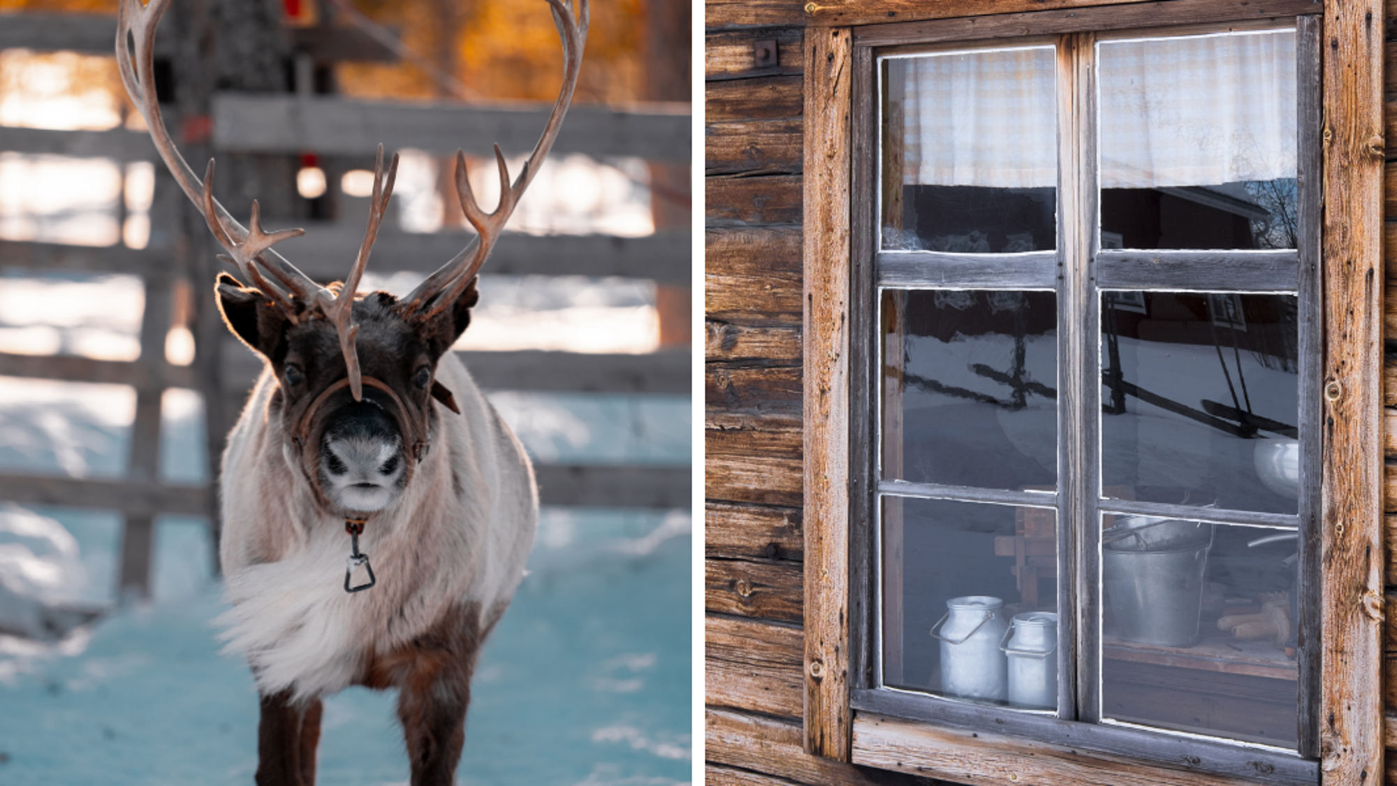 Découvrez la culture Same