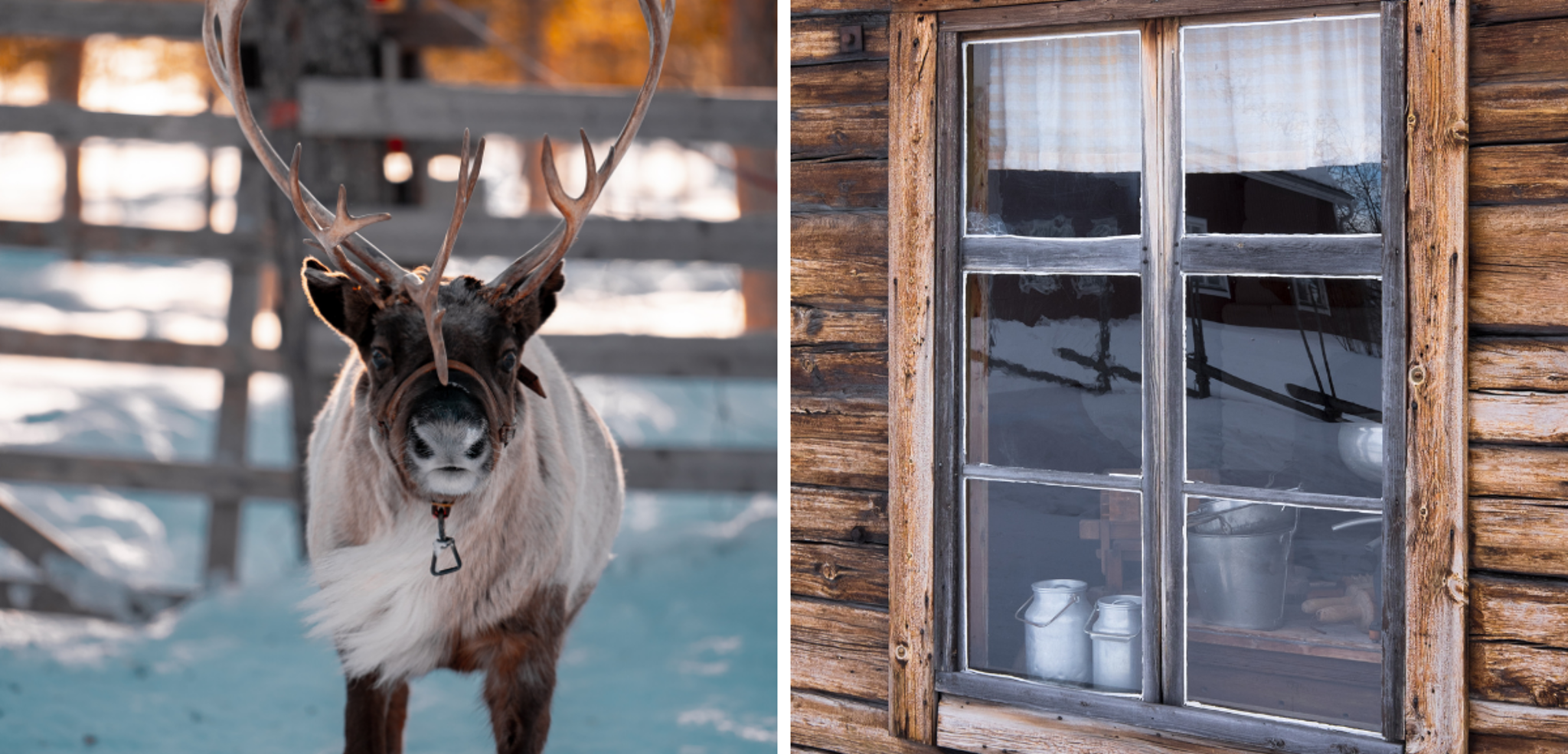 Découvrez la culture Same