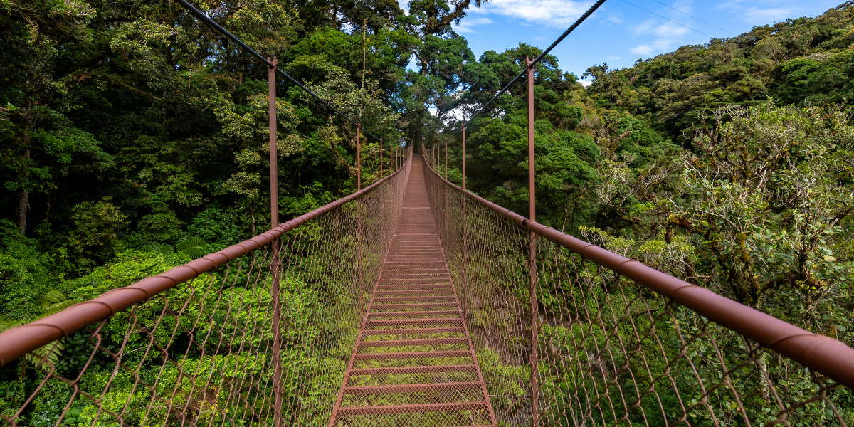Une randonnée au cœur de la jungle luxuriante à Boquete - jour 4 
