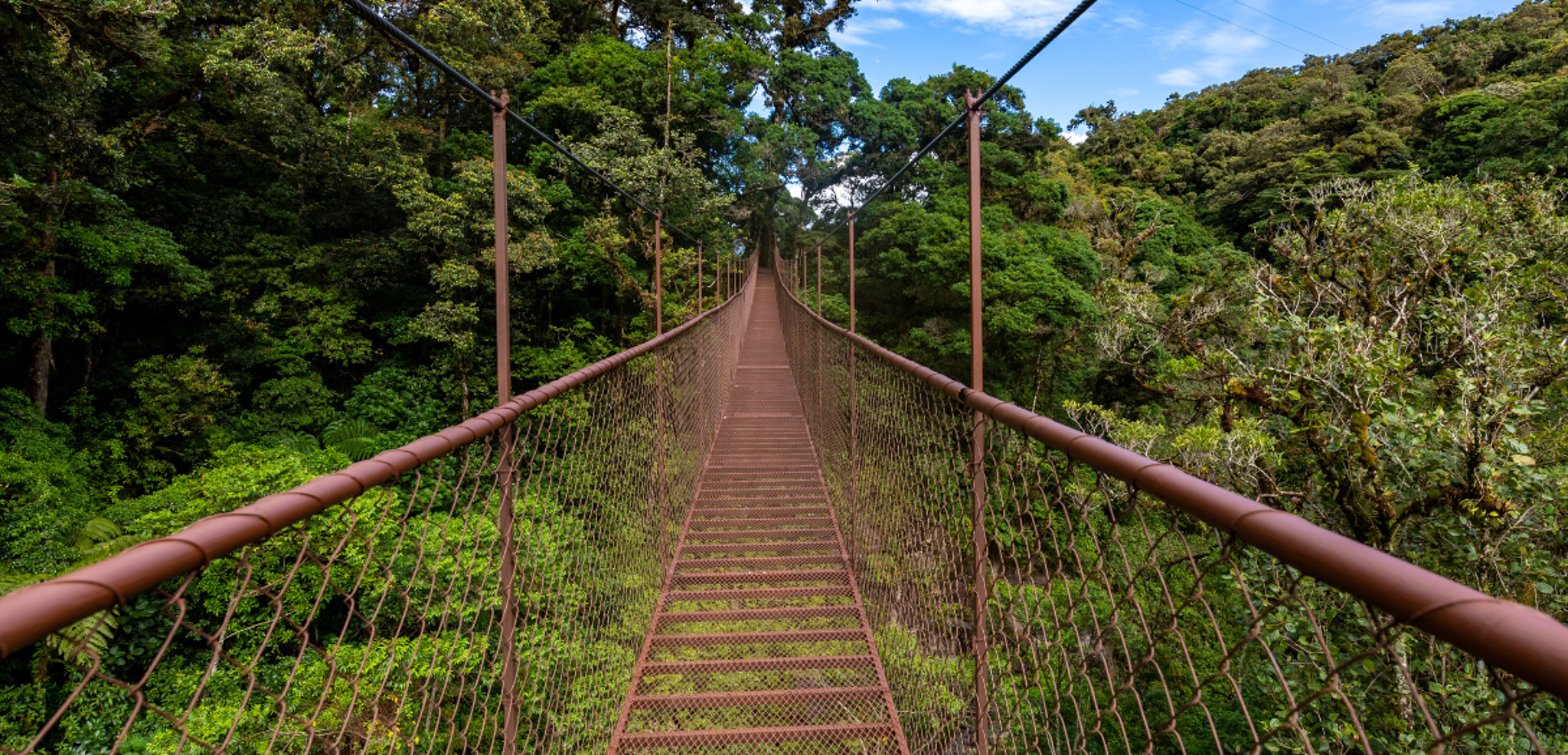 Une randonnée au cœur de la jungle luxuriante à Boquete - jour 4