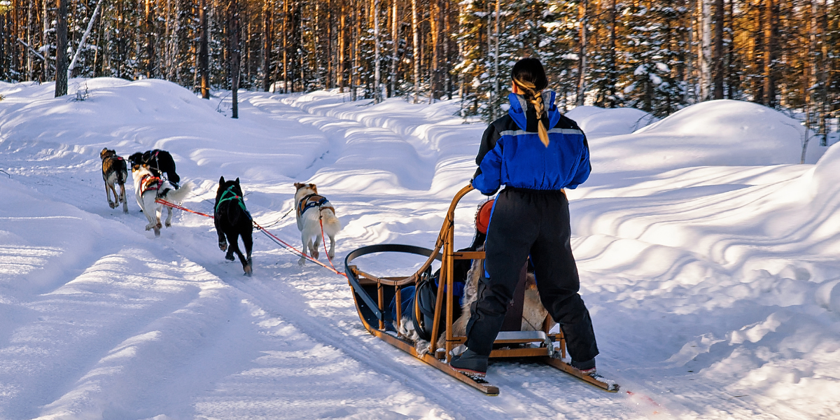 Un safari en traîneau à chiens 