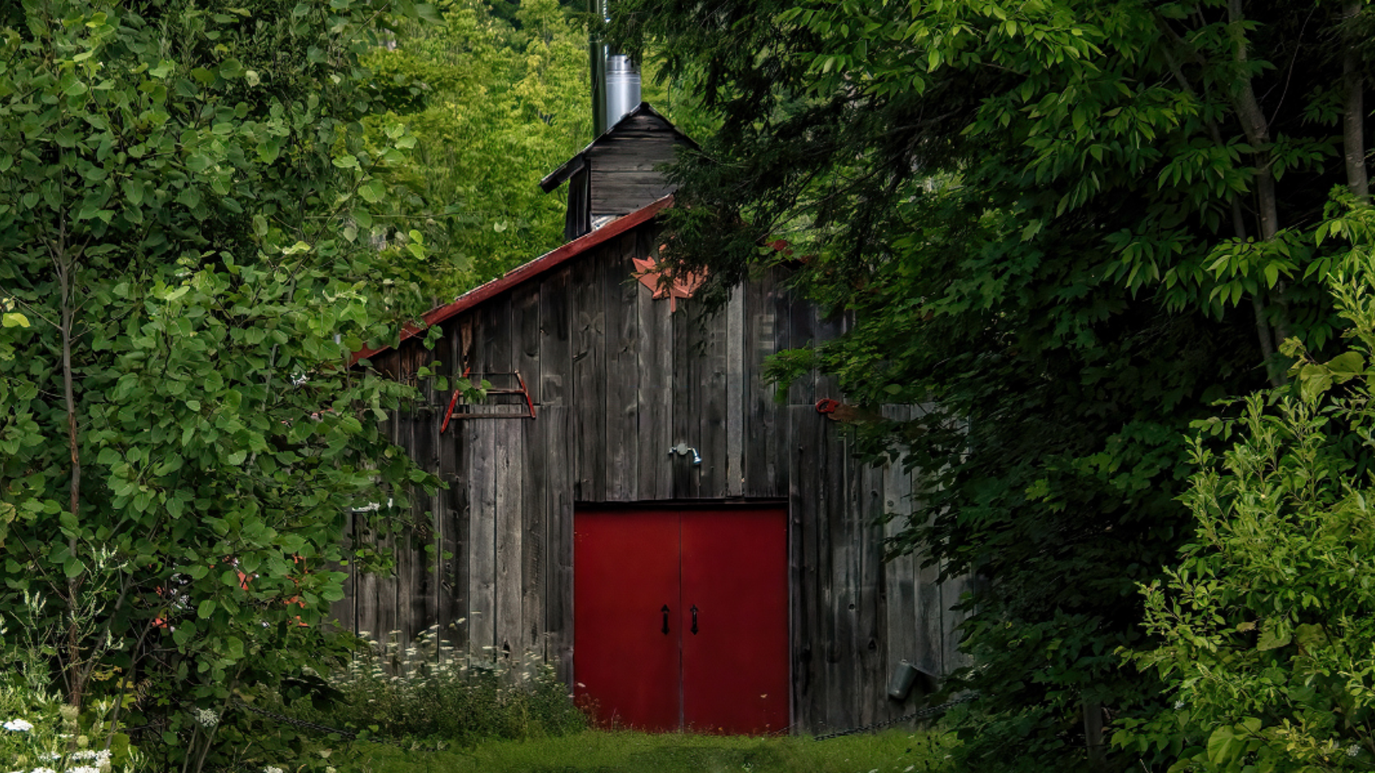 La visite d’une cabane à sucre (photo non contractuelle) - jour 9