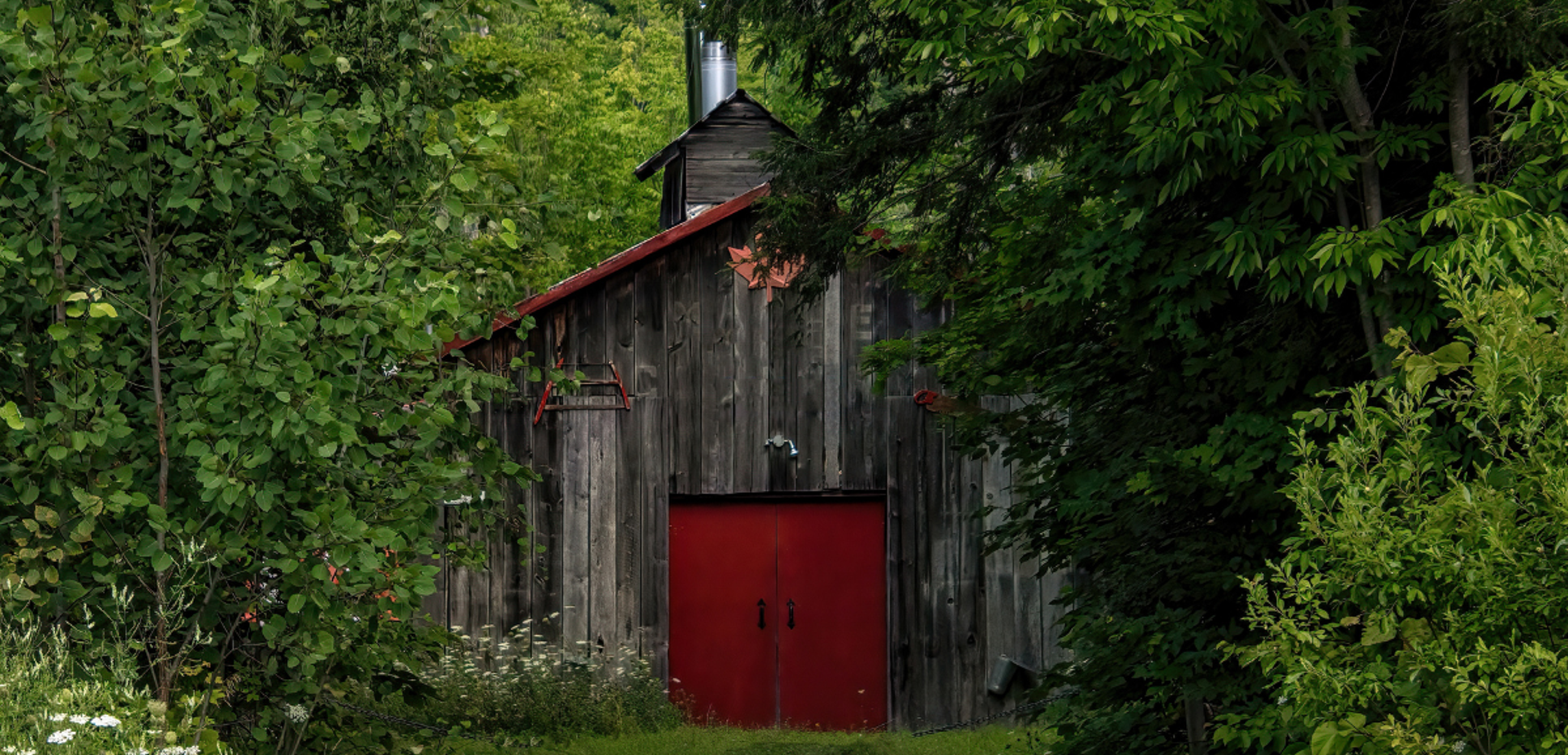 La visite d’une cabane à sucre (photo non contractuelle) - jour 9