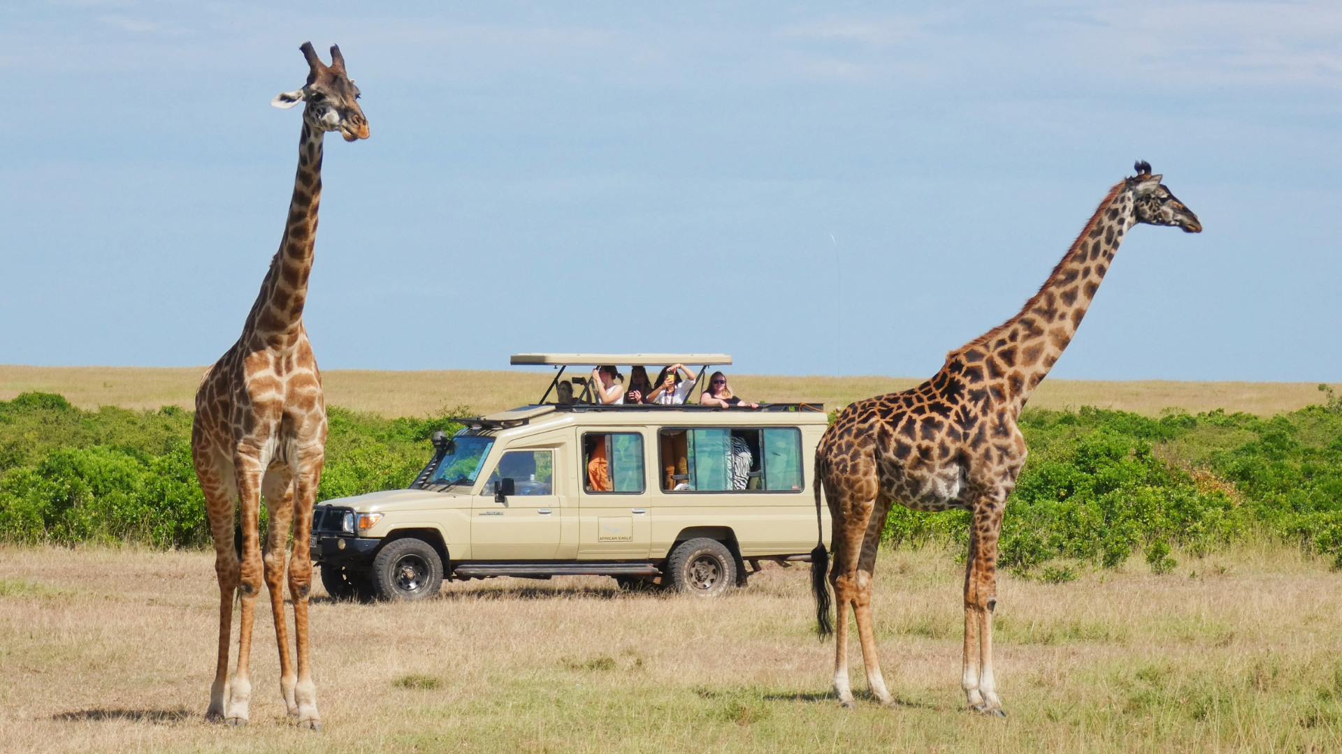 Pour un séjour entre safari dans la savane