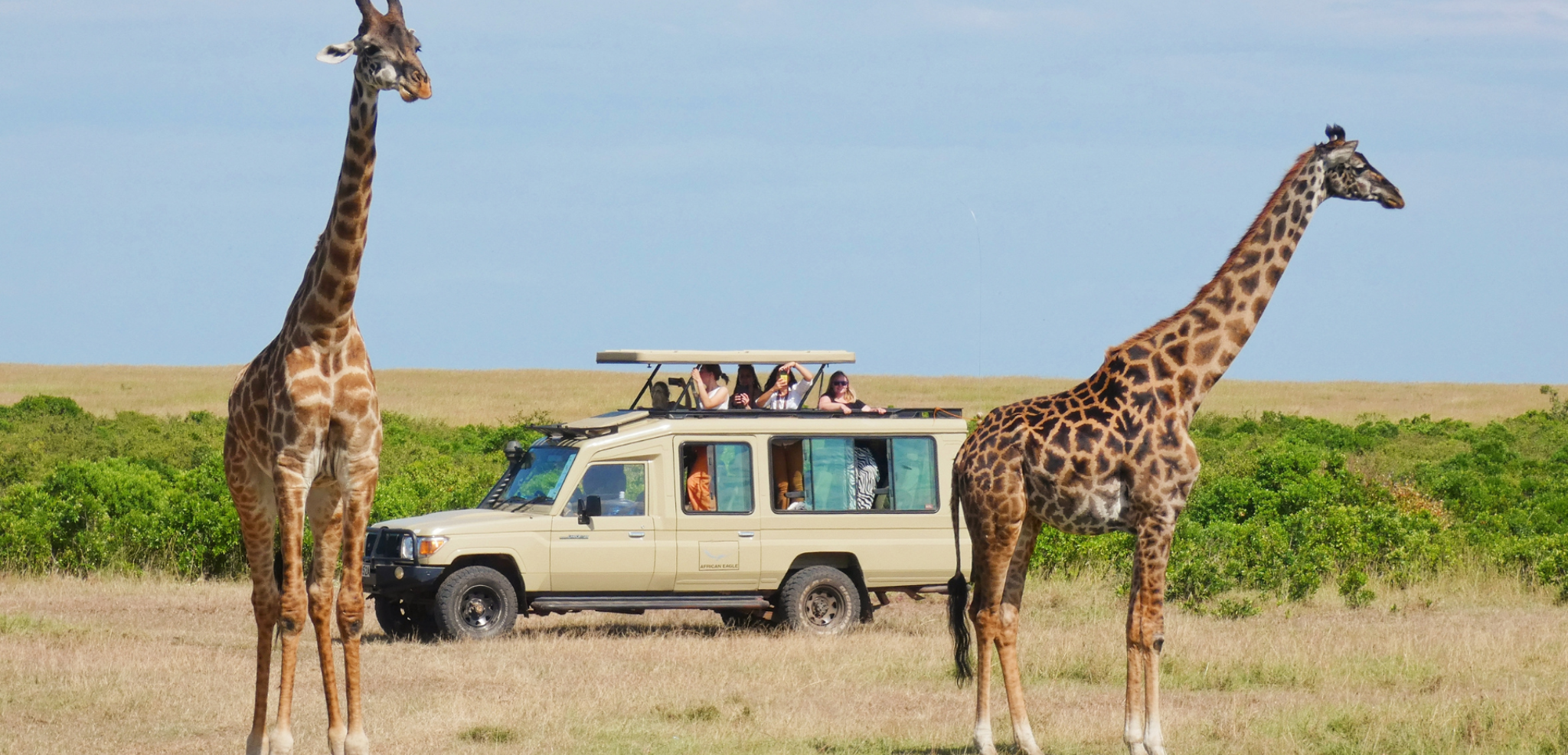 Pour un séjour entre safari dans la savane