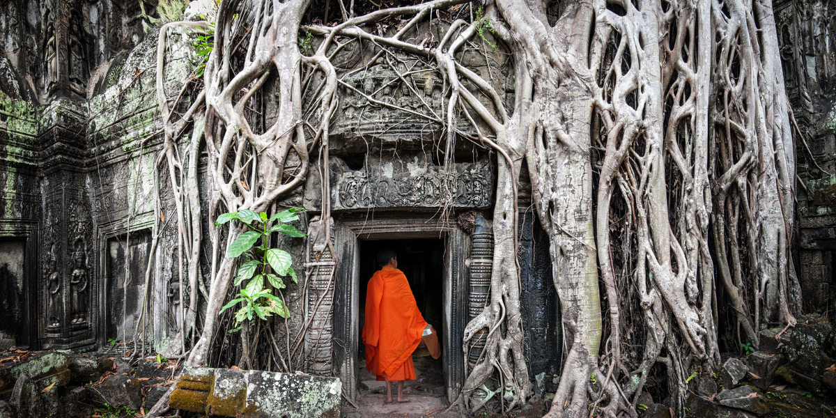 Et les impressionnantes racines aériennes tentaculaires de Ta Prohm