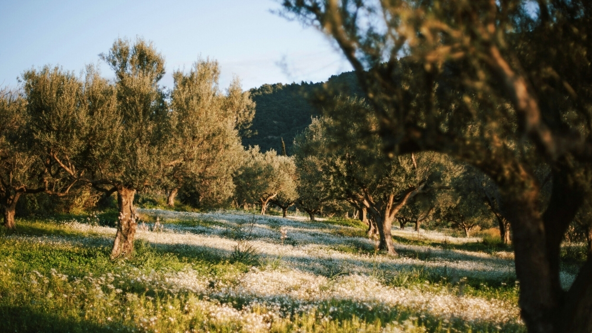 Provence, France ©Elisabeth Jurenka / Unsplash