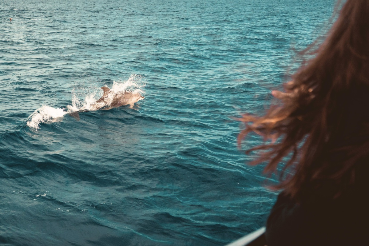 Croisière à la rencontre des dauphins, ©Arnaud Padalle / Unspalsh 