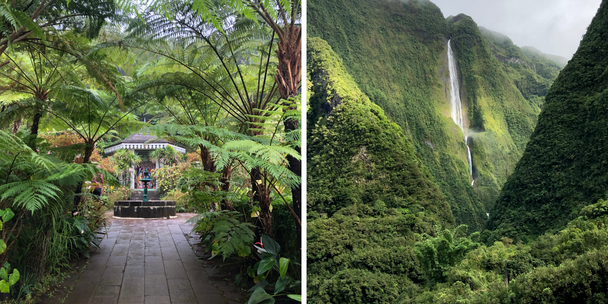 Plongez dans la nature luxuriante de l'île au coeur du cirque de Salazie 