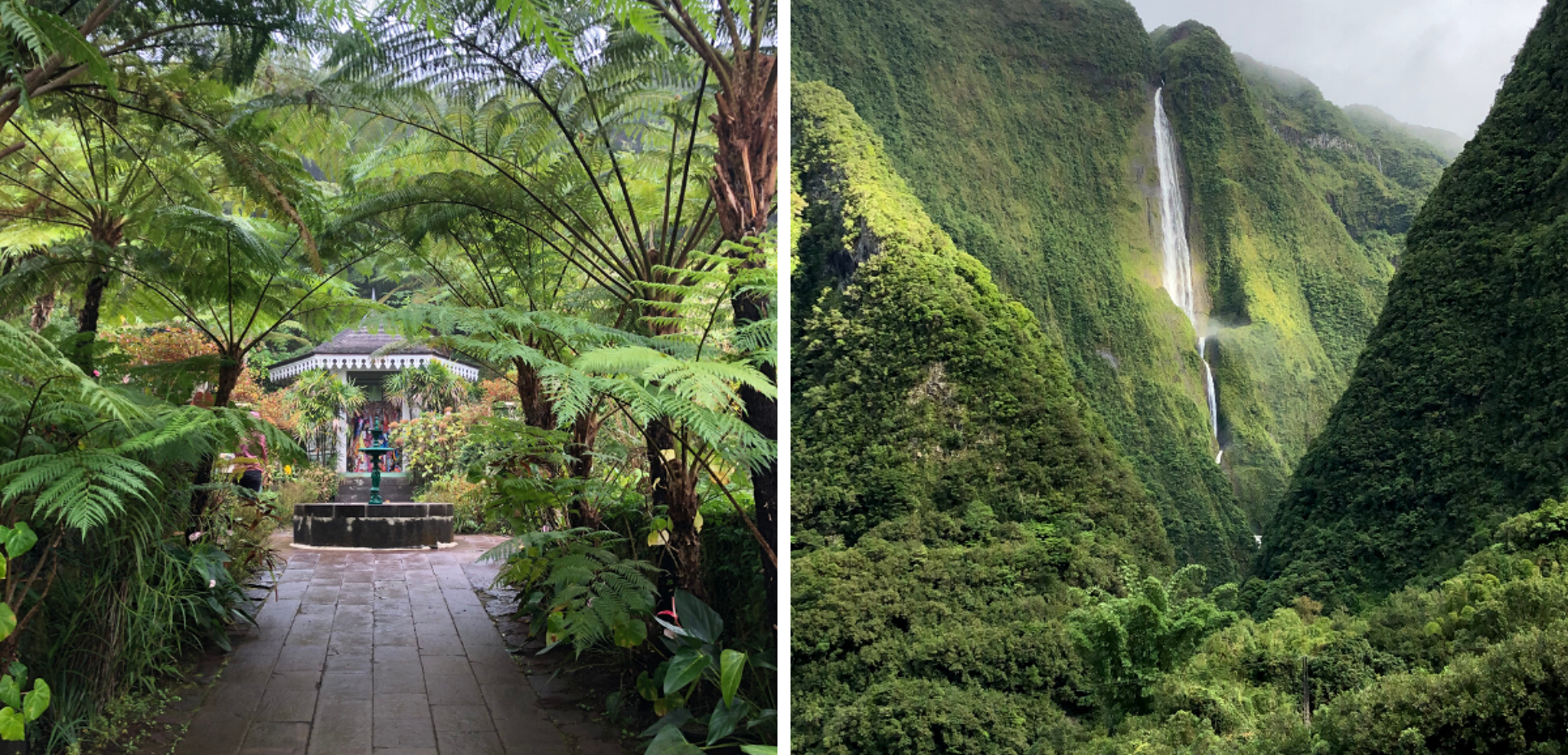 Plongez dans la nature luxuriante de l'île au coeur du cirque de Salazie