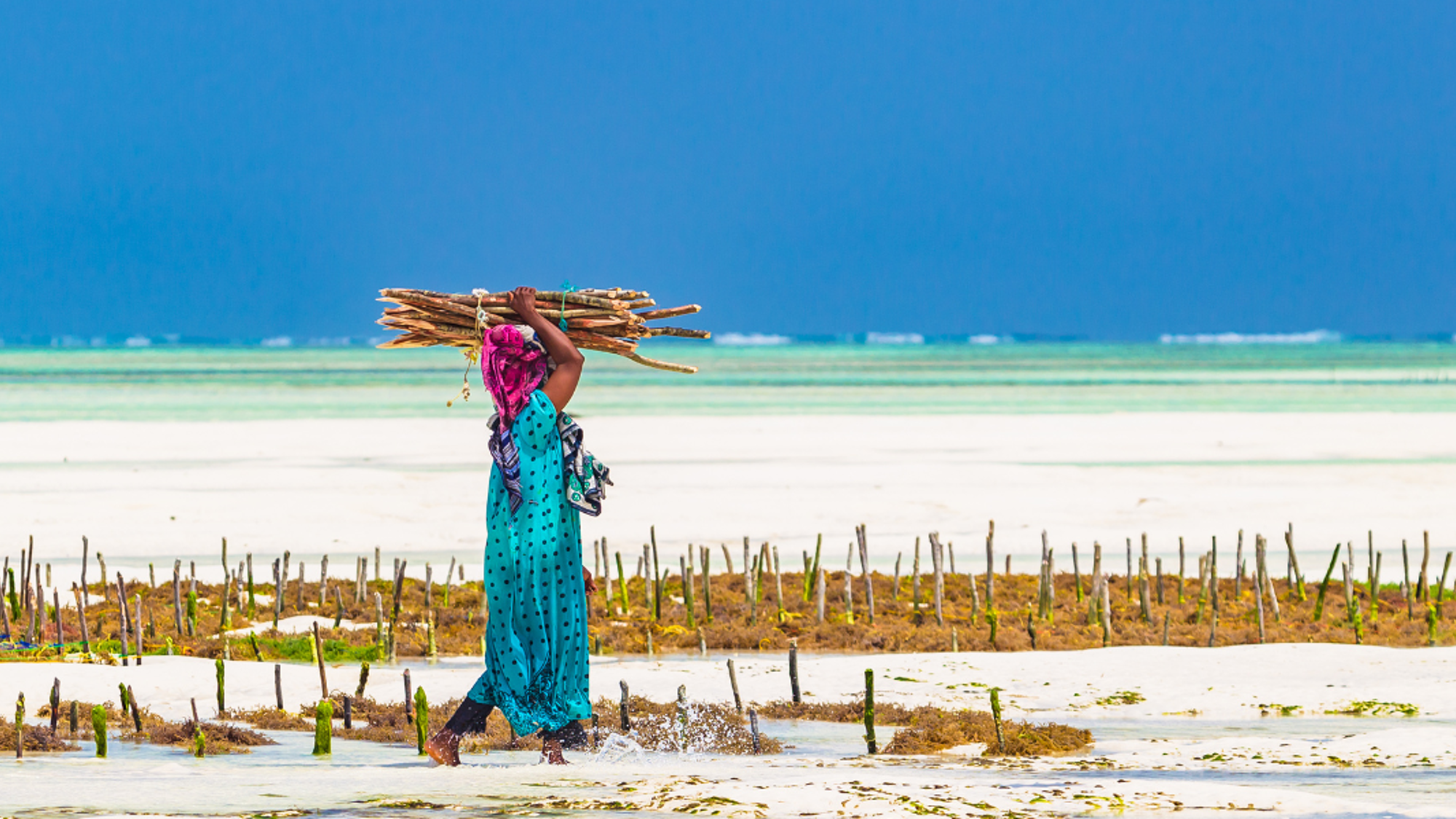 Au programme : partez à la rencontre des habitants