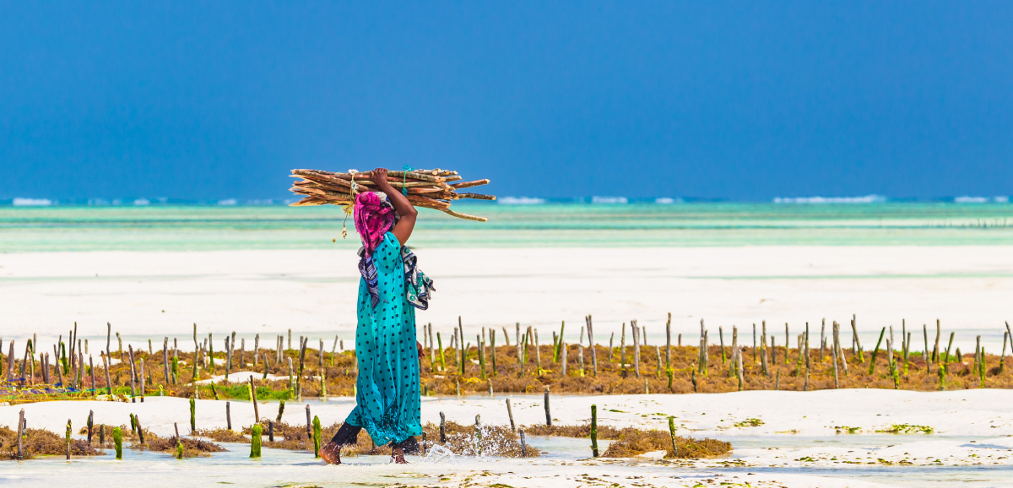 Au programme : partez à la rencontre des habitants