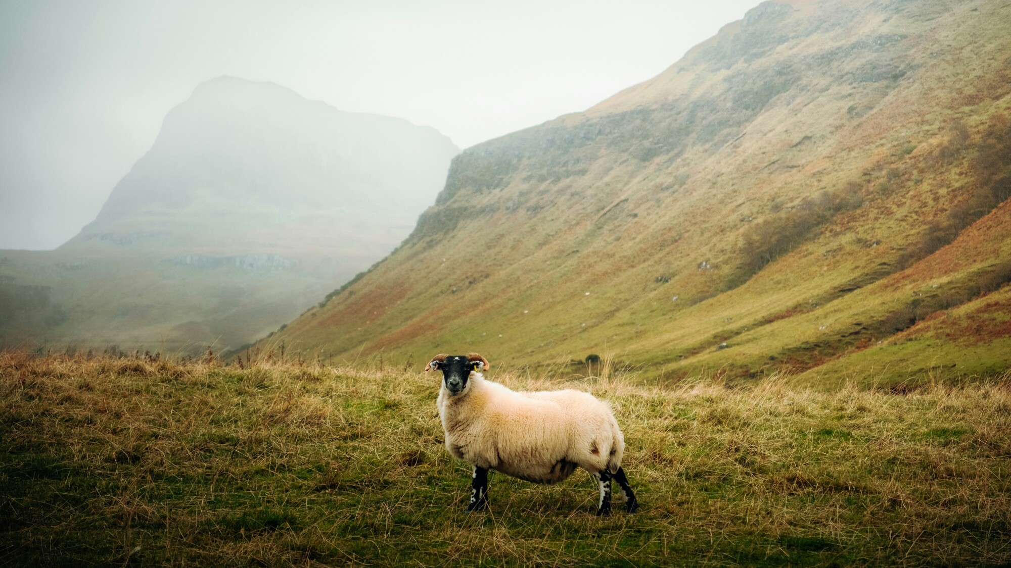 Île de Skye, ©Daniel J. Schwarz / Unsplash