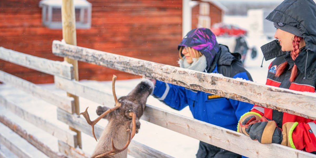 Découvrez la ferme de rennes