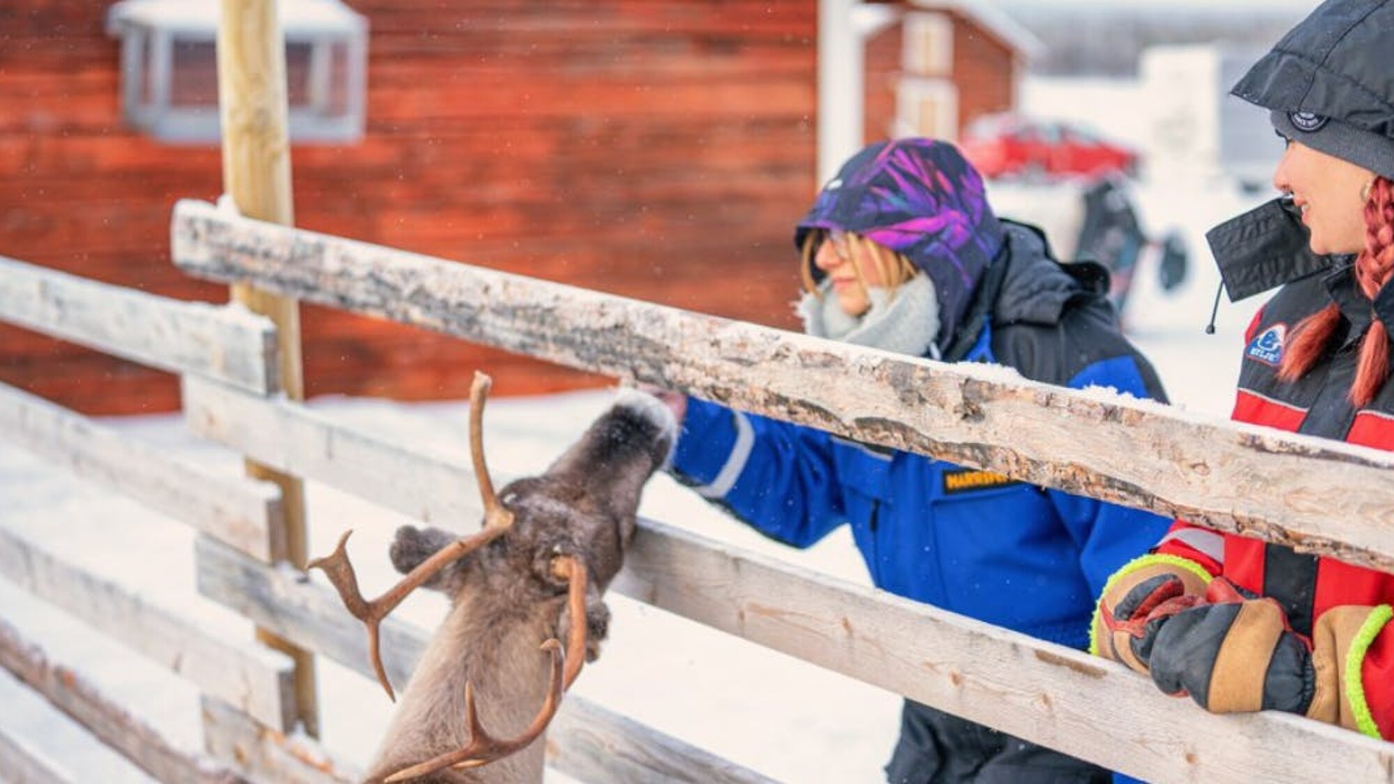Découvrez la ferme de rennes