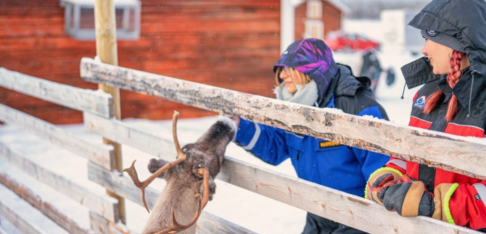 Découvrez la ferme de rennes