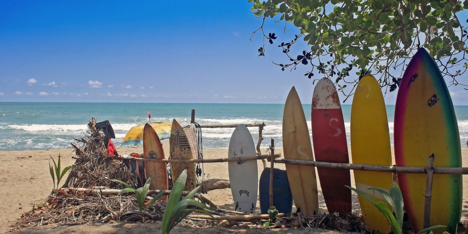 Un p'tit cours de surf (en option) ?