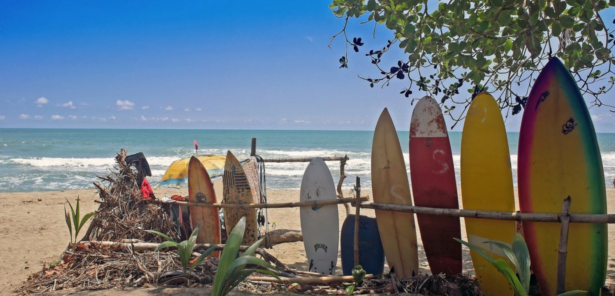 Un p'tit cours de surf (en option) ?