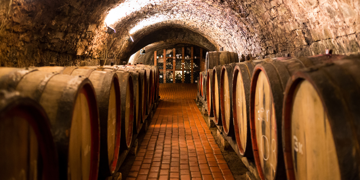 La visite d'une cave à vin, avec dégustation bien sûr ! 