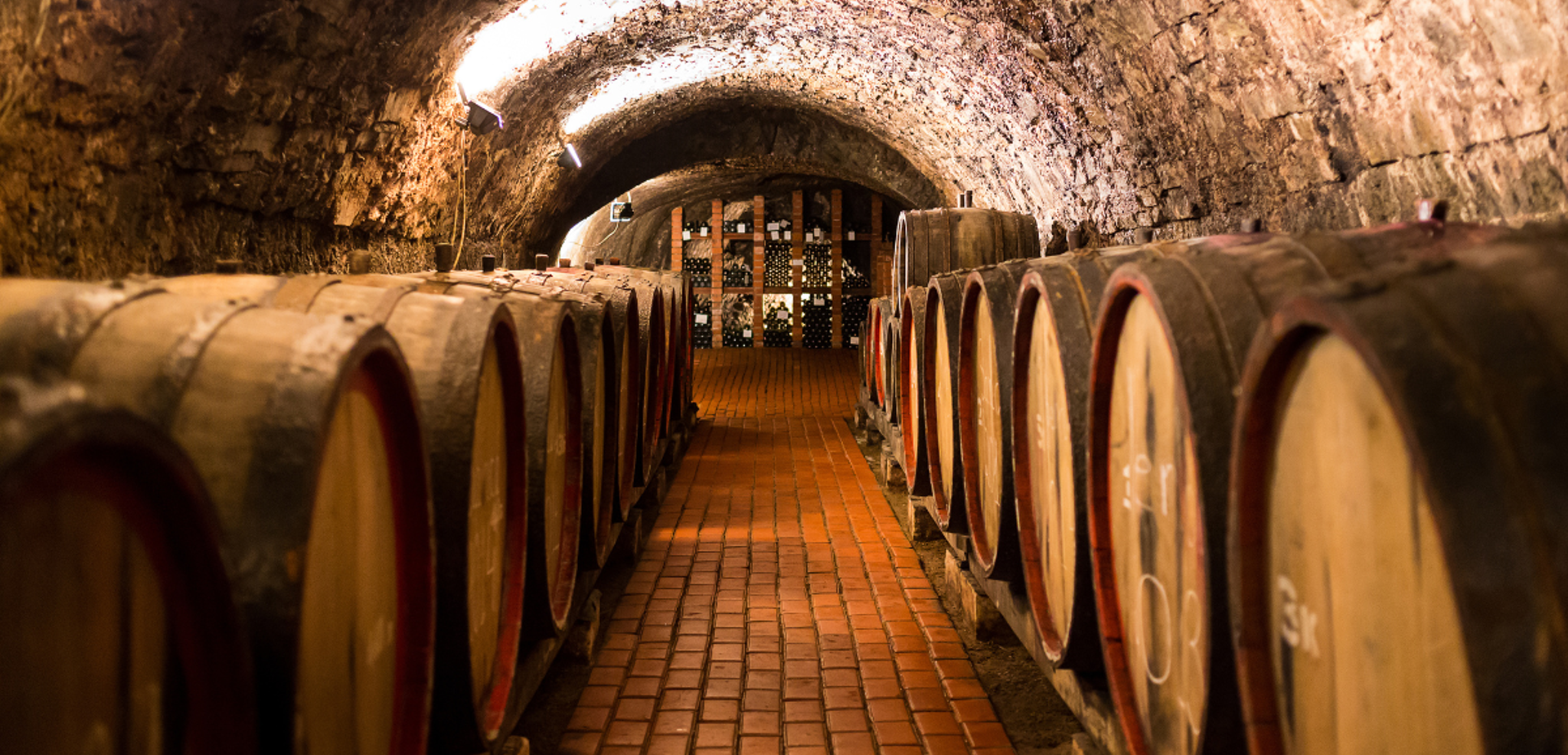 La visite d'une cave à vin, avec dégustation bien sûr !