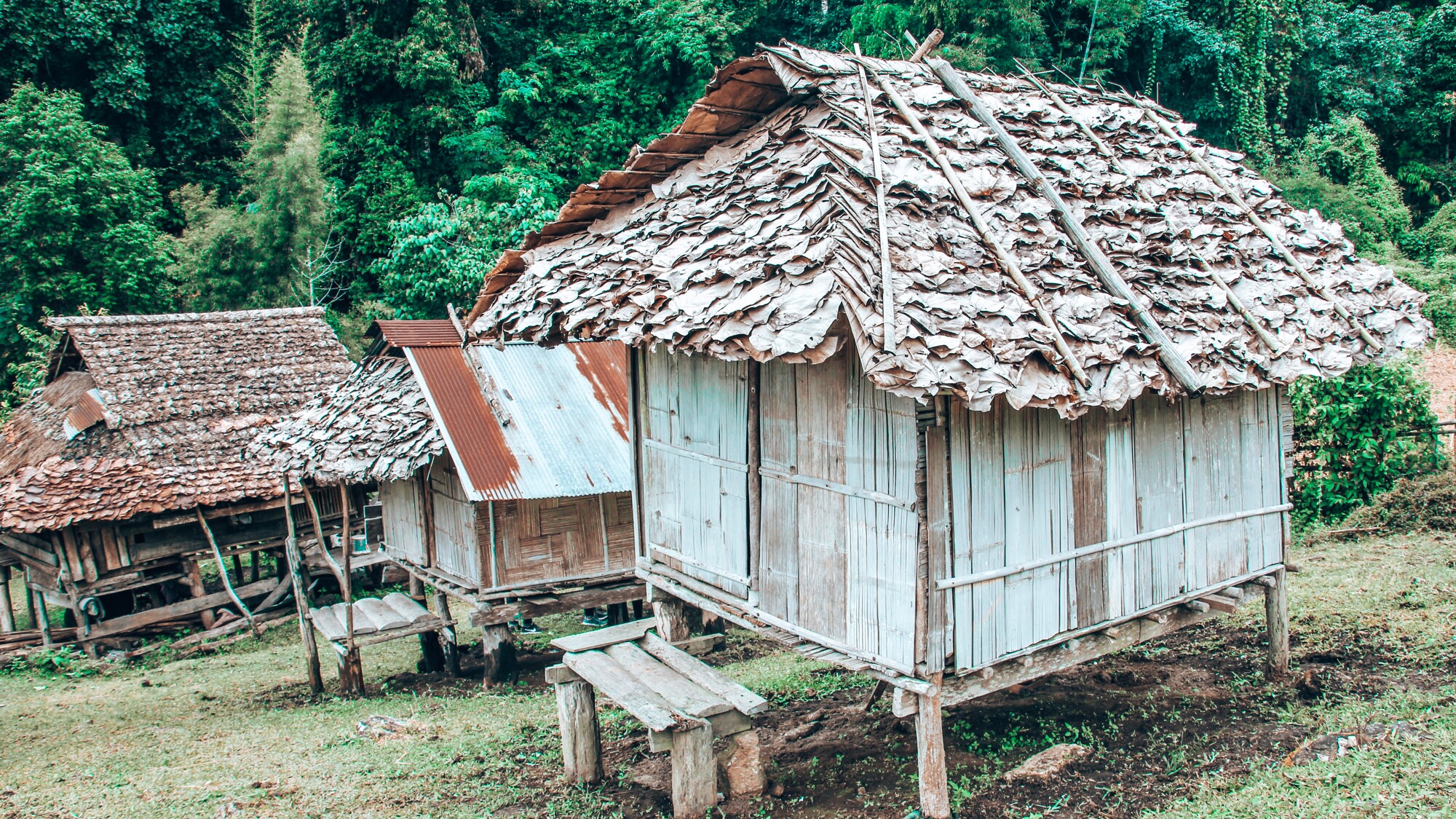 Avec une nuit dans un campement Karen !