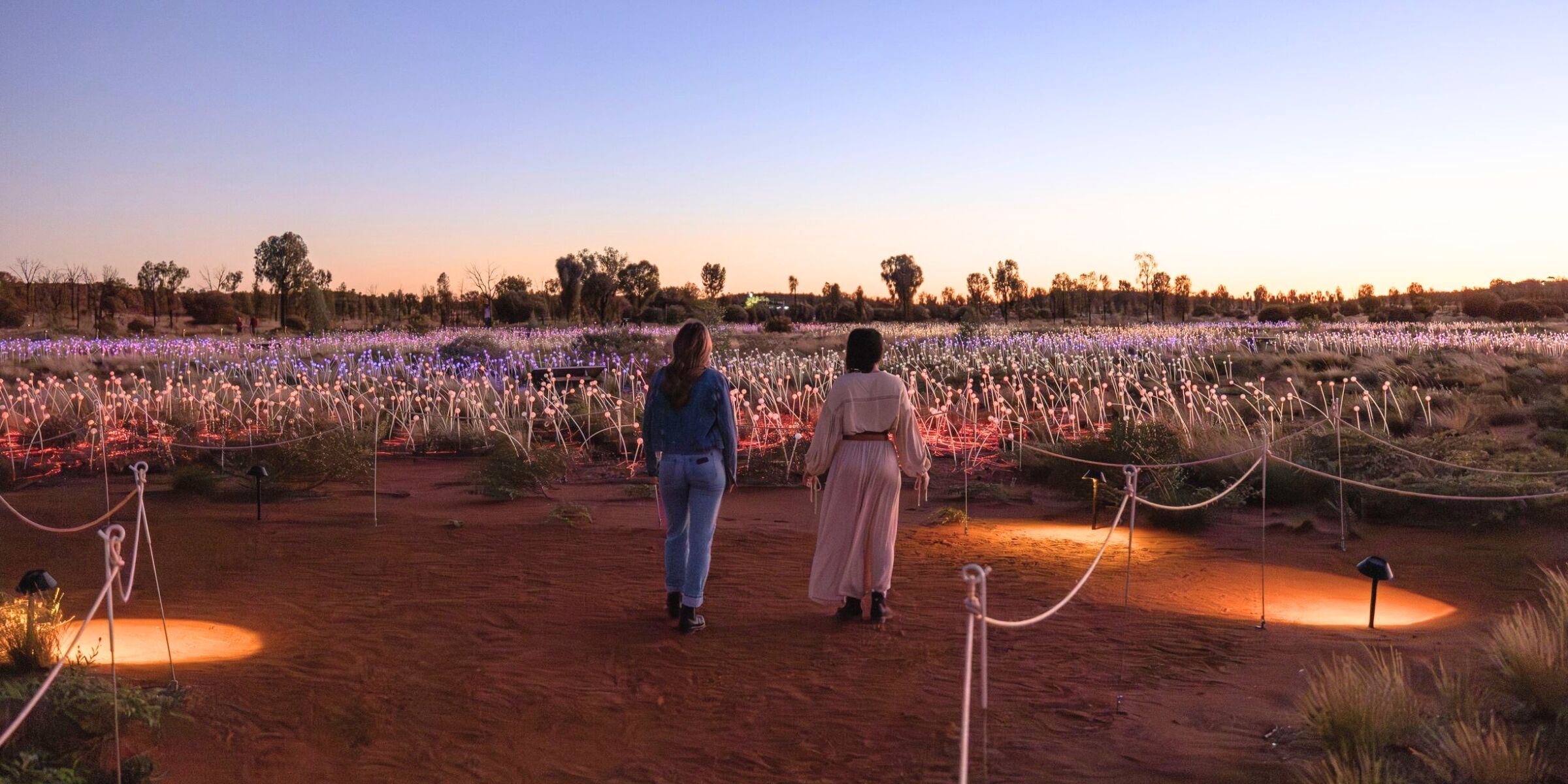 Field of Light, Uluru, Australie