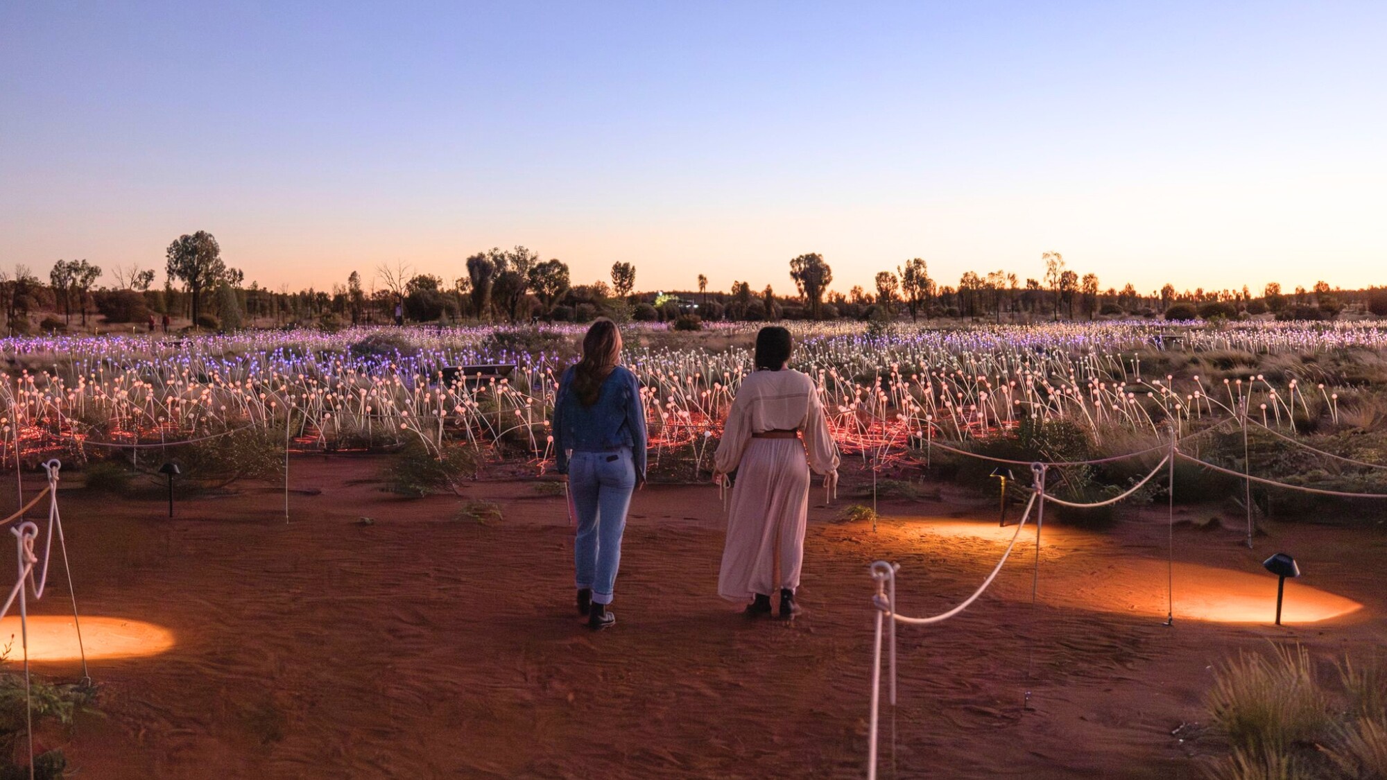 Field of Light, Uluru, Australie