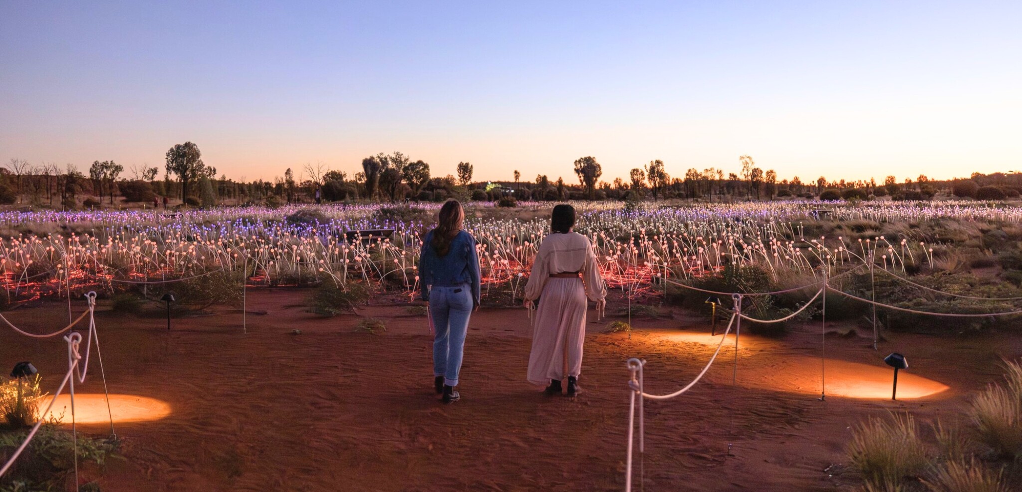 Field of Light, Uluru, Australie