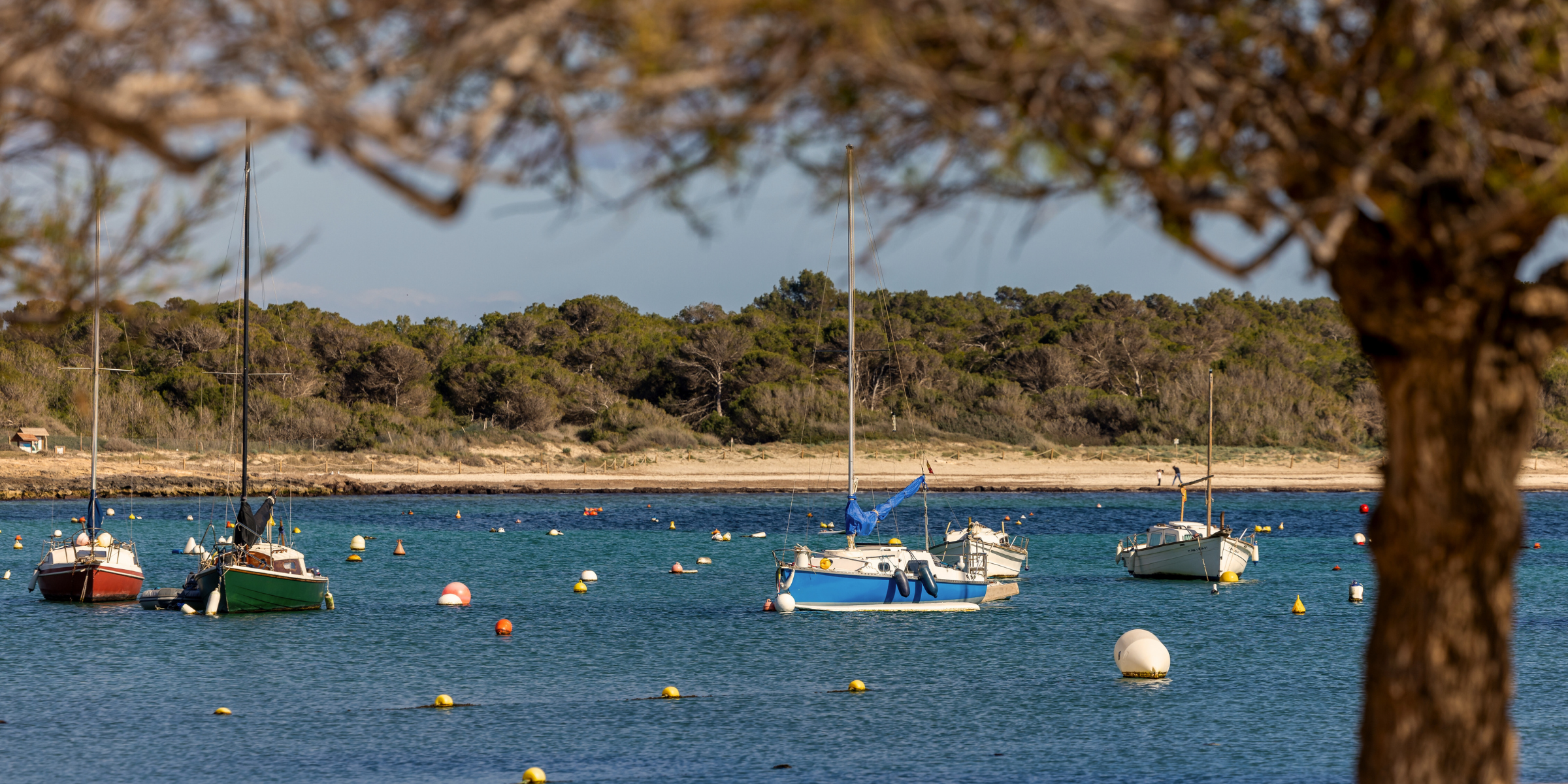 Baie portuaire de Colonia de San Jordi, Majorque