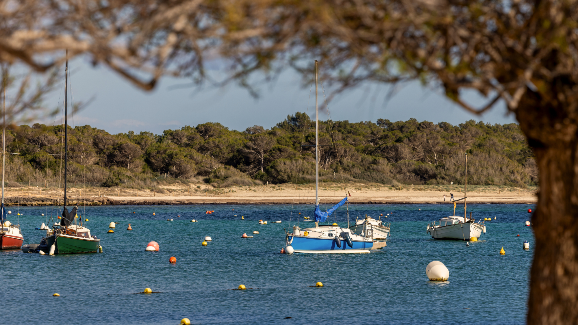 Baie portuaire de Colonia de San Jordi, Majorque