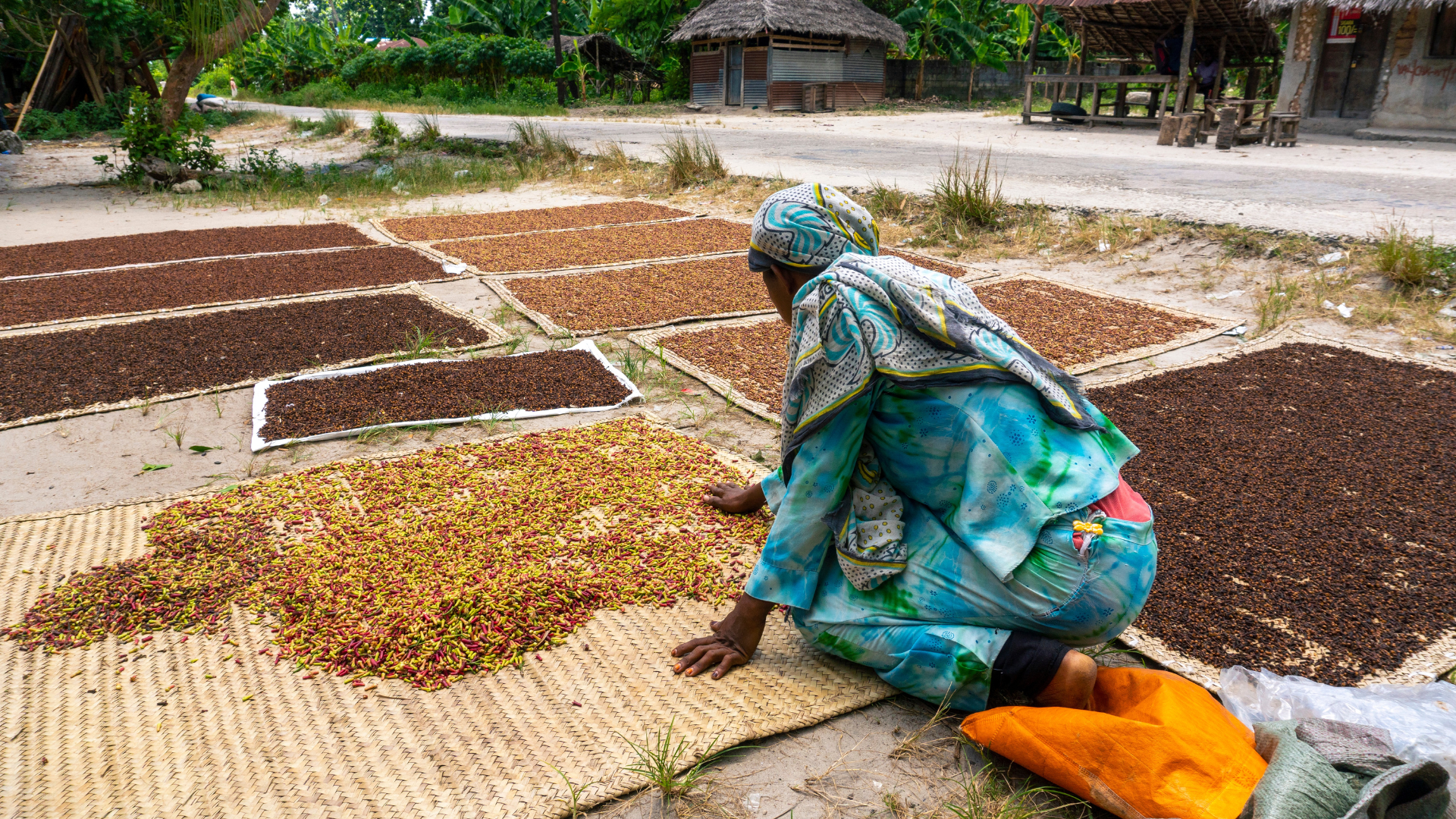 La visite de fermes à épices, Zanzibar, jour 8