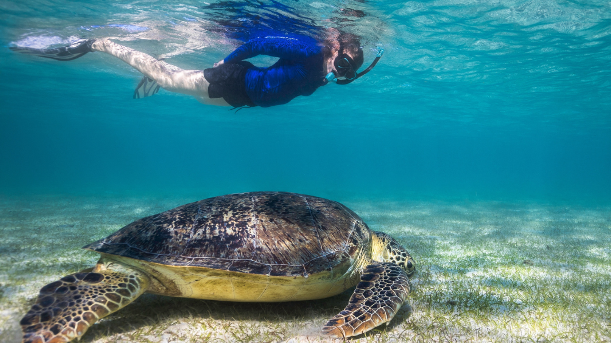 Pause farniente sur Nosy Iranja, l'île aux tortues