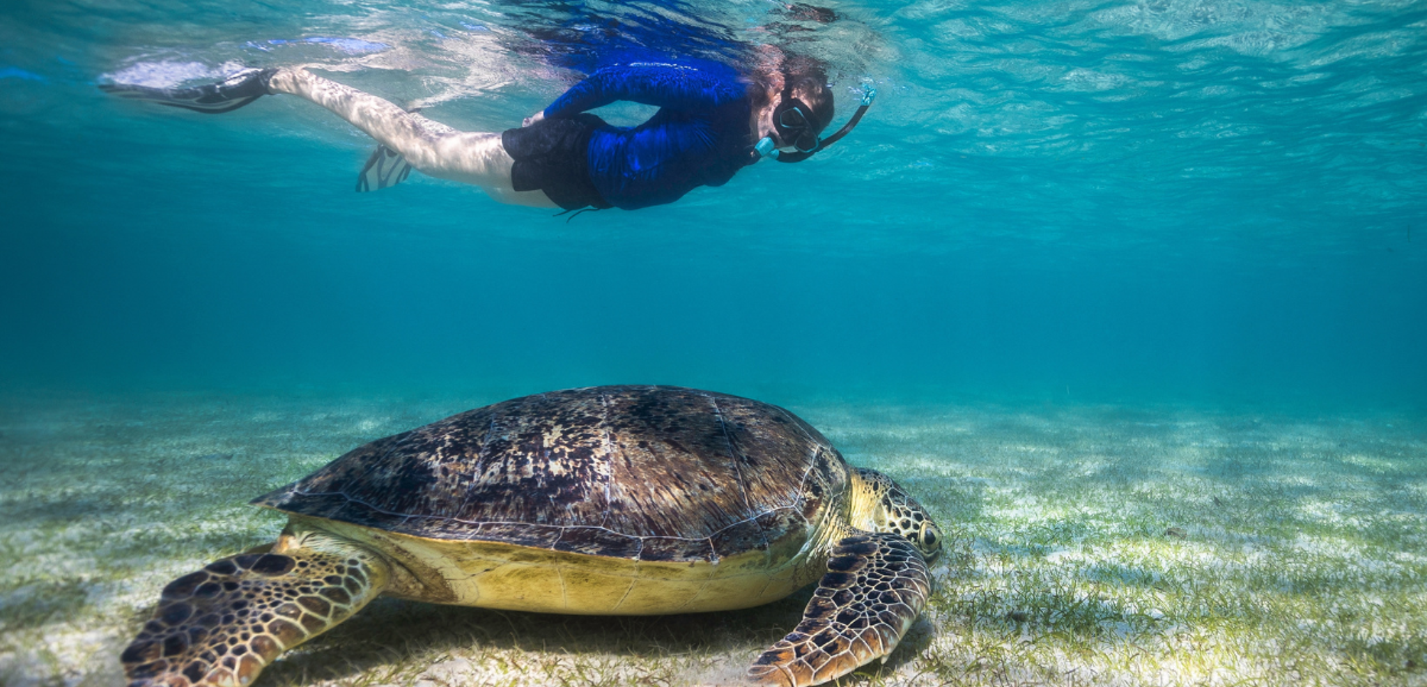 Pause farniente sur Nosy Iranja, l'île aux tortues