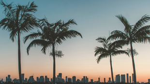 Miami, Floride, États-Unis ©Denys-kostyuchenko / Unsplash