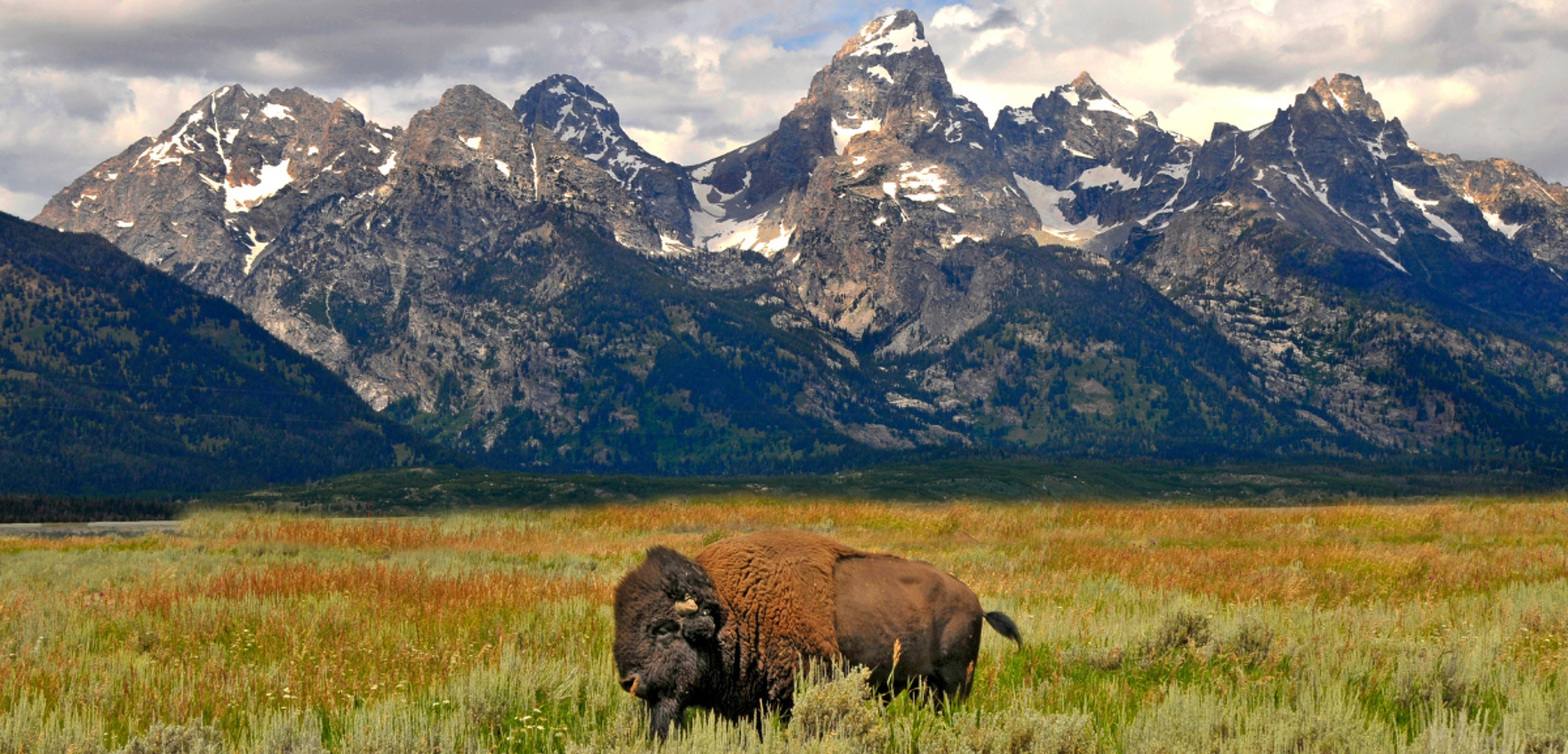 Bienvenue dans les Rocheuses américaines !