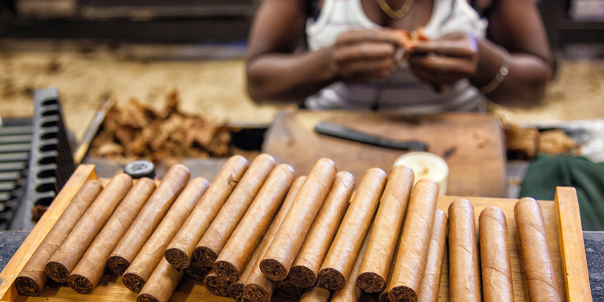 Le trésor local : les cigares !