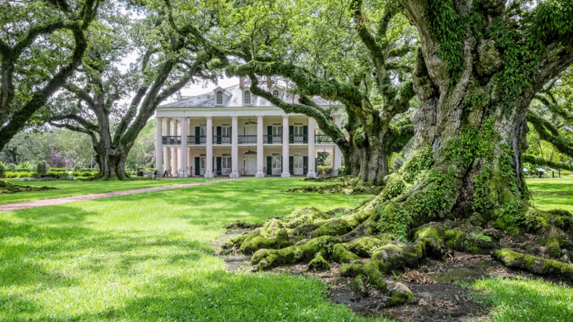 Aux plantations sur les rives du Mississipi...