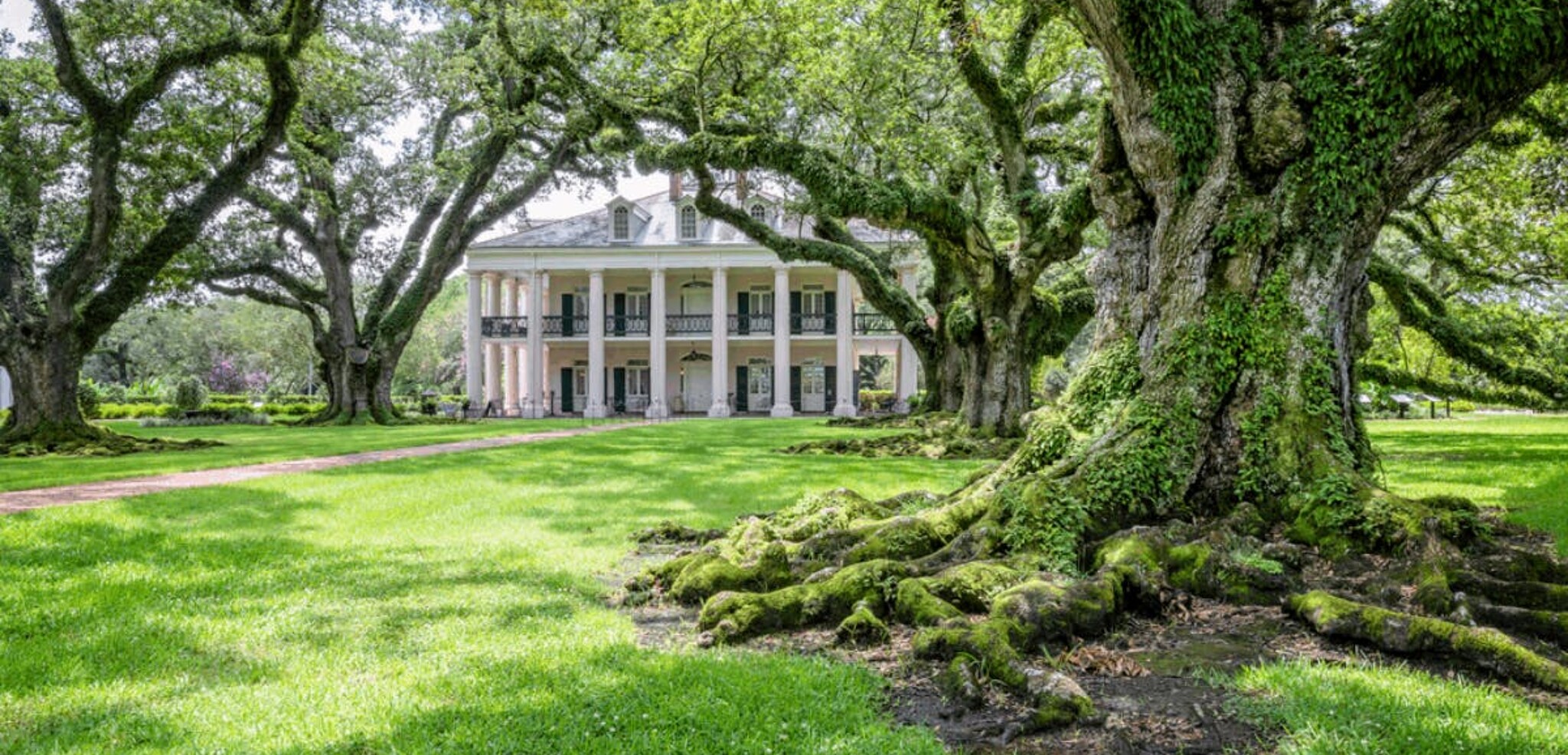 Aux plantations sur les rives du Mississipi...