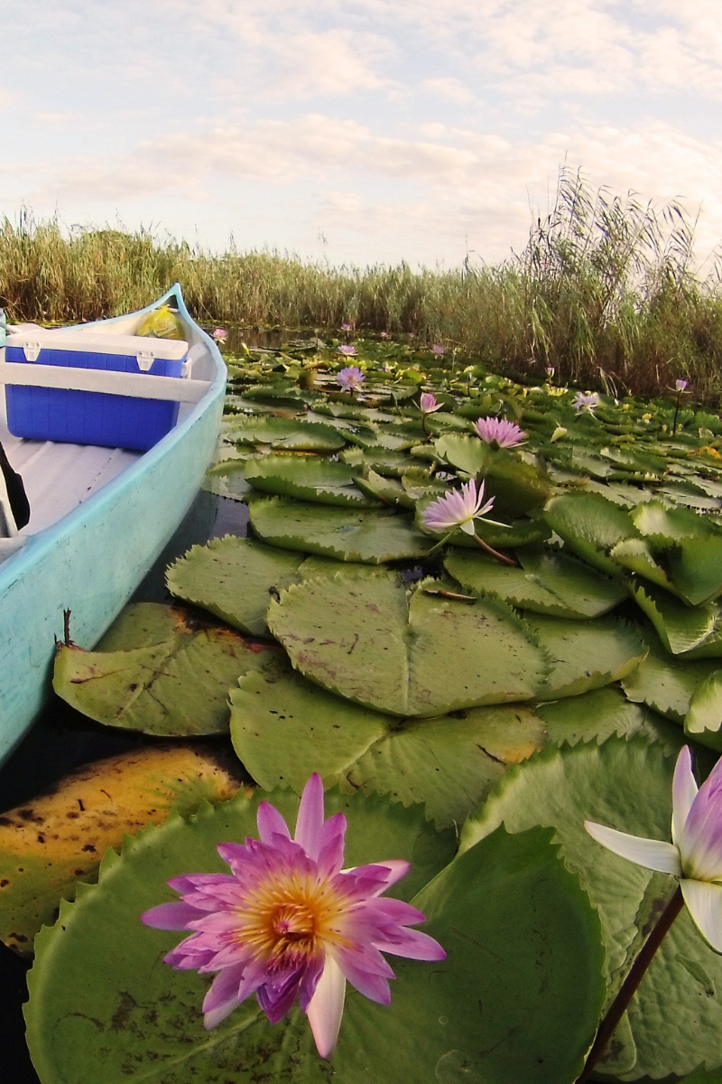 Canoë sur la rivière Govhuro, Mozambique ©BahiaMar