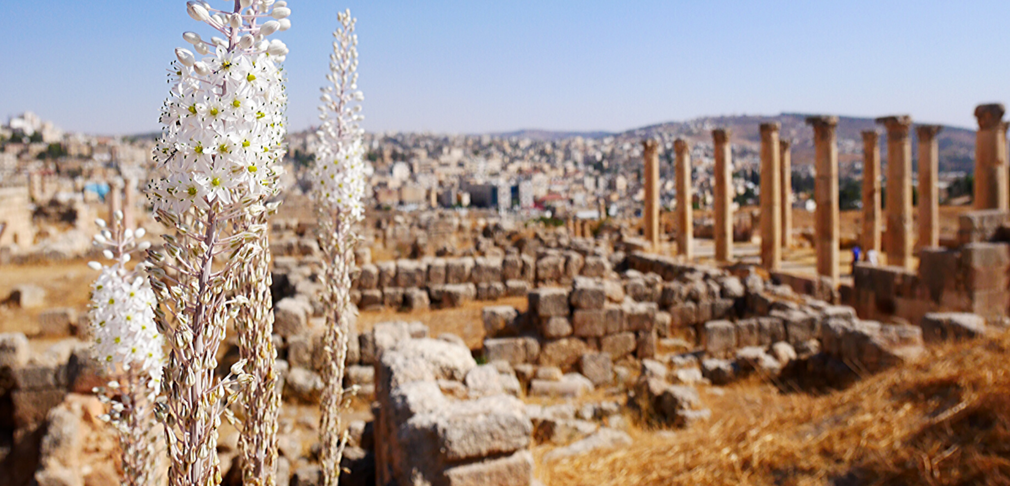 Jerash
