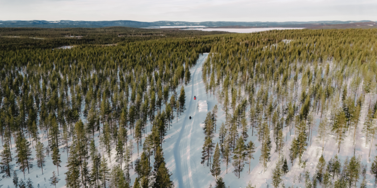 Au coeur d'une nature sauvage ! 