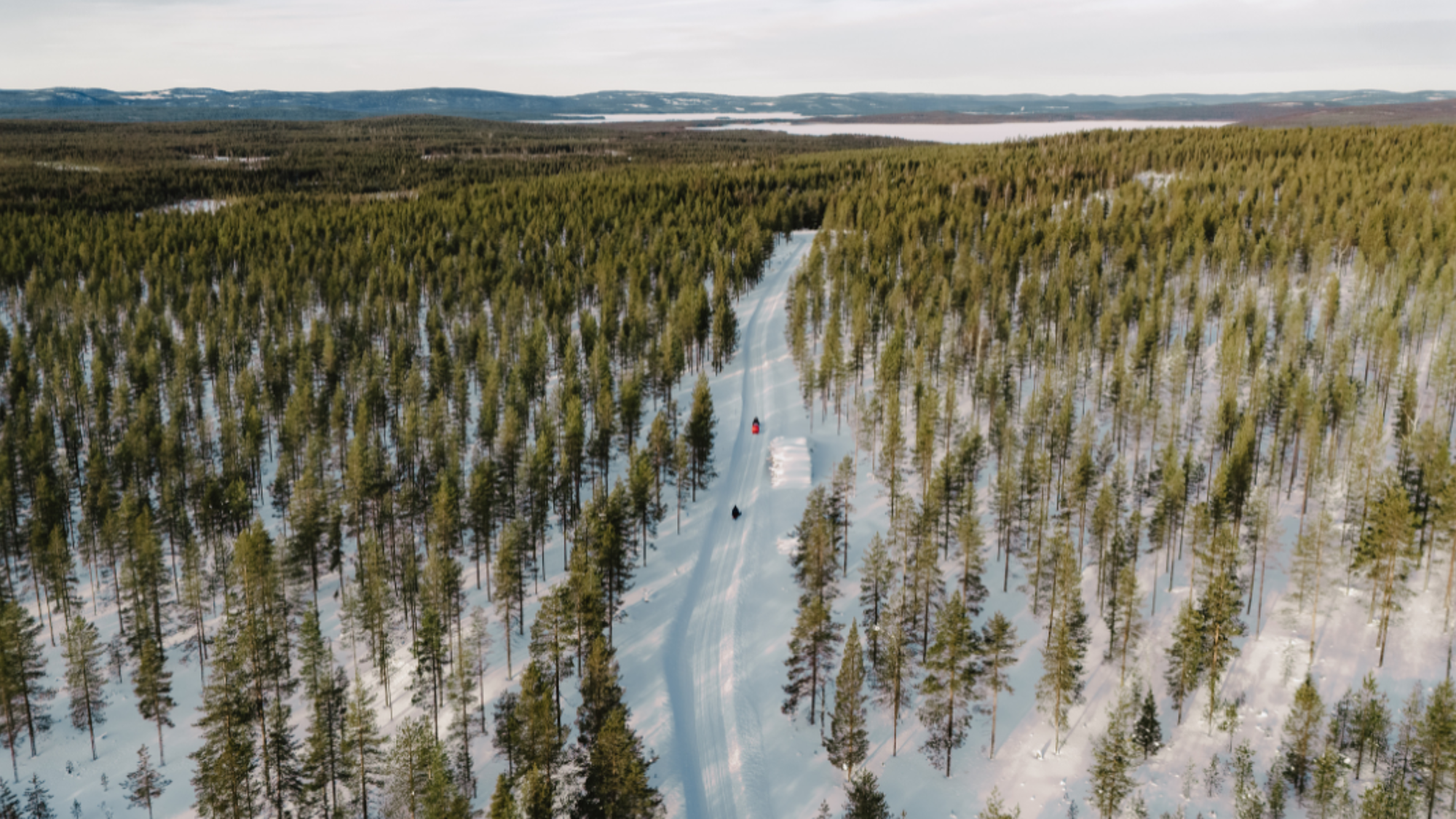 Au coeur d'une nature sauvage !