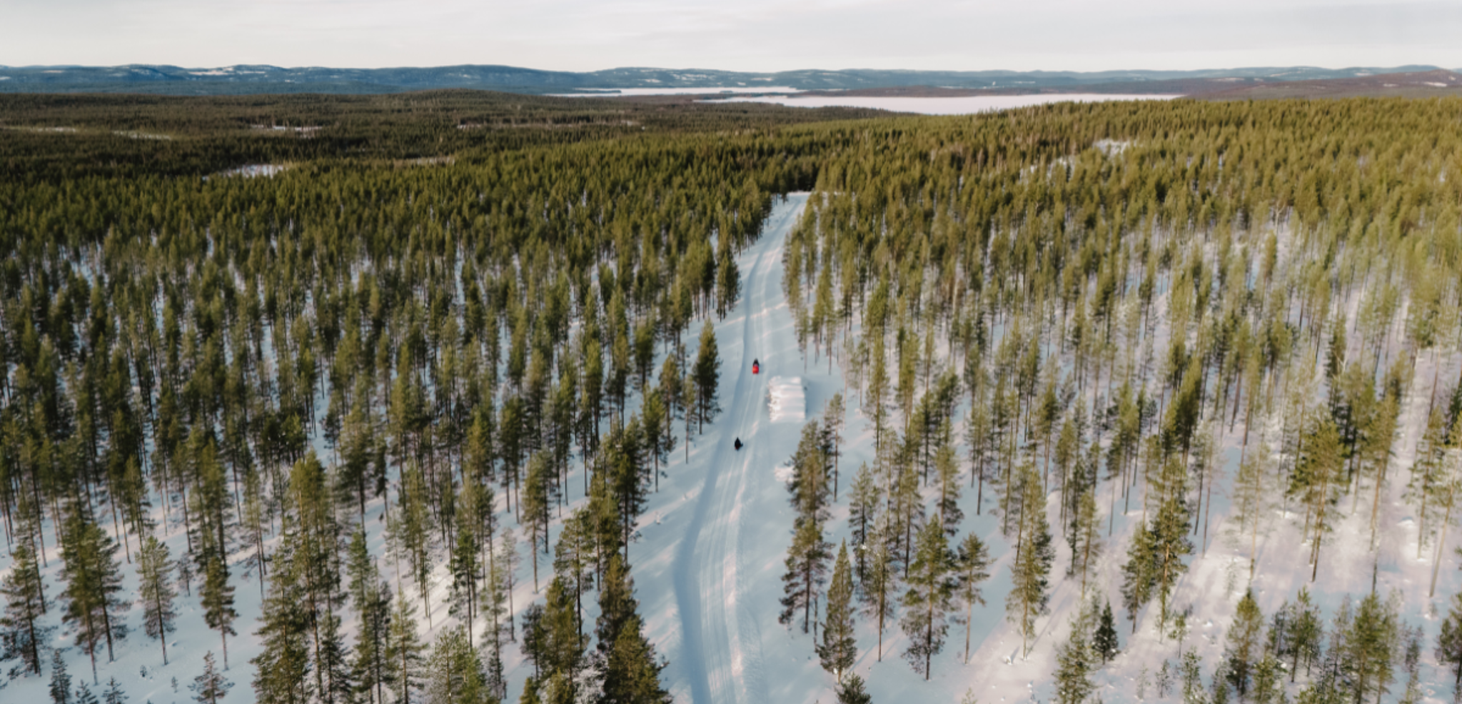 Au coeur d'une nature sauvage !